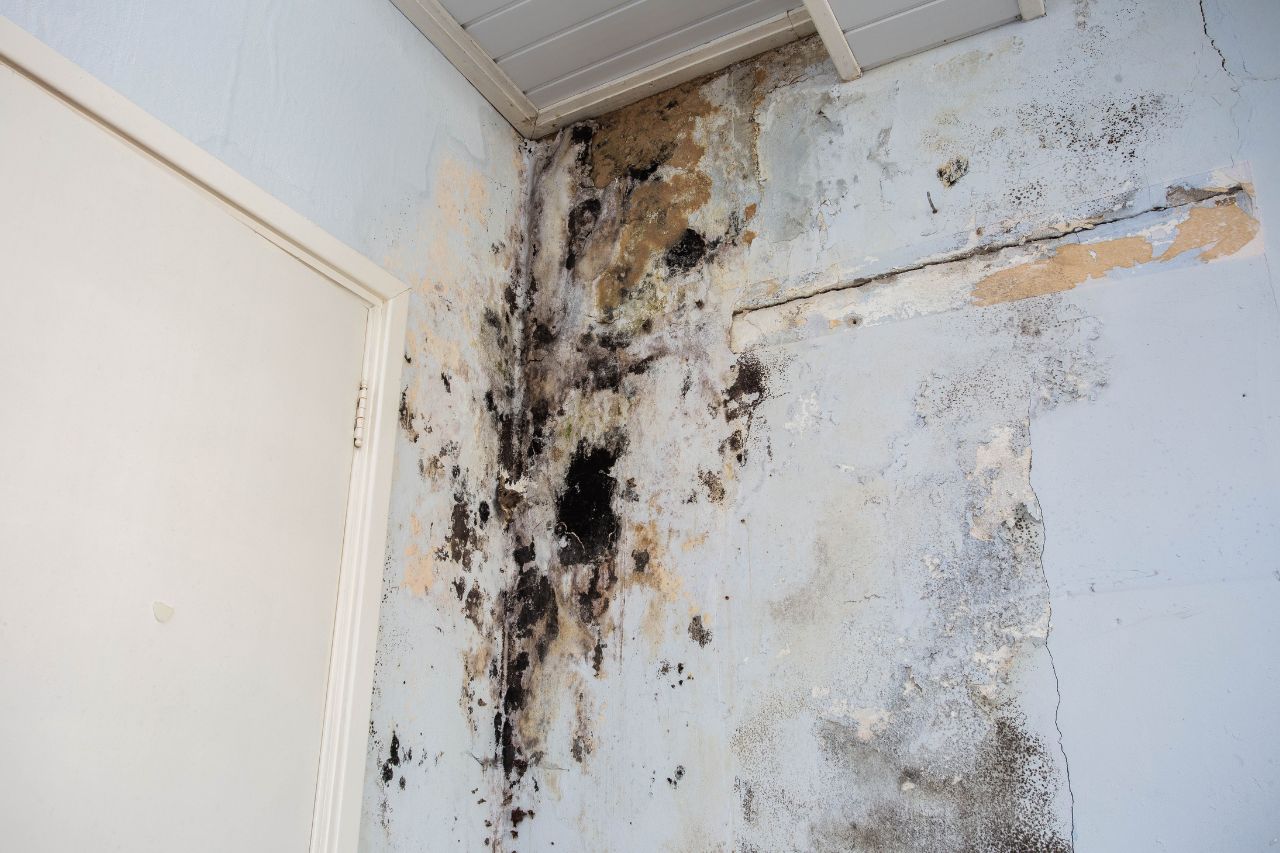 concealed pipe leaking