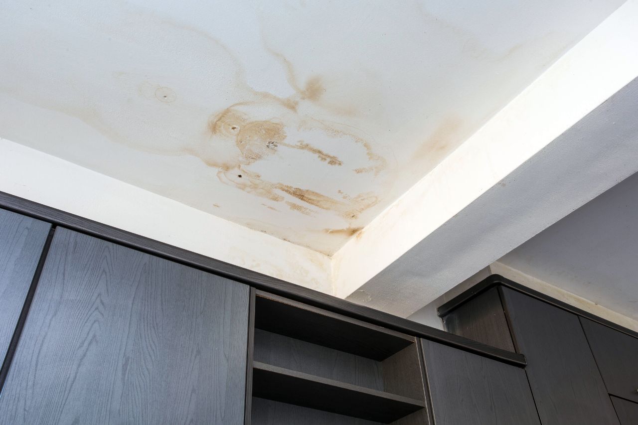 leaks detection services